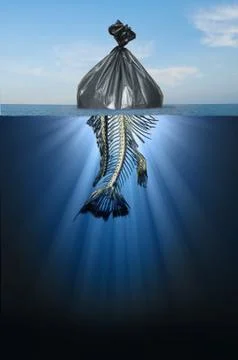 Fish In A Bag Stock Illustration