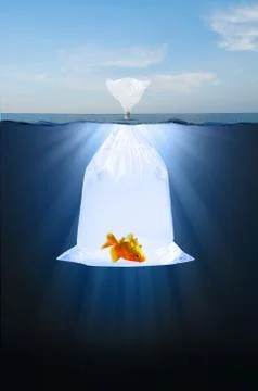 Fish in A bag Stock Illustration