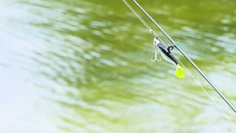 Fish bait Stock-Footage 77681076