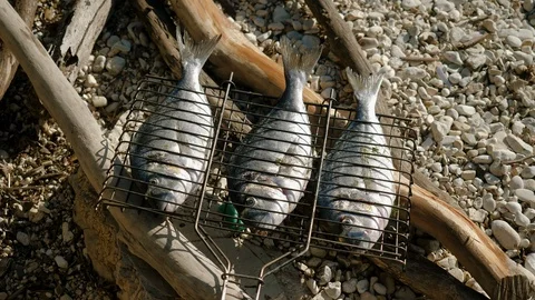 Fish baking and roasting on barbecue grill. Dorado grilled over charcoal. 4K Stock-Footage 119814594