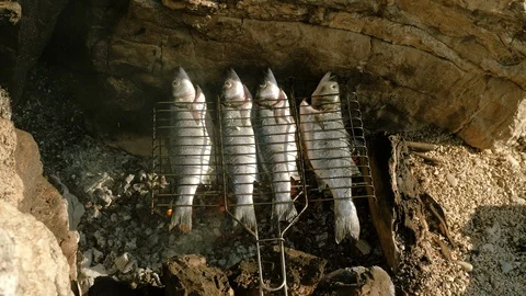 Fish baking and roasting on barbecue grill. Sea bass grilled over charcoal. 4K Video stock 119814807