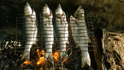 Fish baking and roasting on barbecue grill. Sea bass grilled over charcoal. 4K 库存影片 119814914