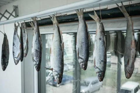 Fish on the balcony. Foto stock