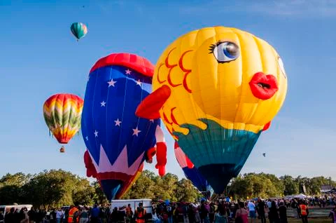 Fish Balloon Stockfoto's