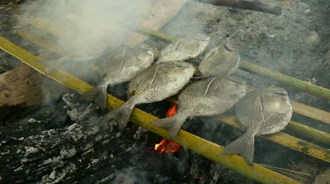 Fish barbecue Stock Footage 57181107