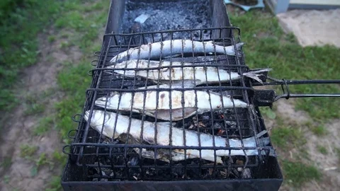 Fish barbecue mackerel Stock Footage 77708152