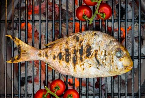 Fish on barbecue Stock Photos