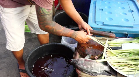 Fish Barbecue Preparation Stock Footage 34045433
