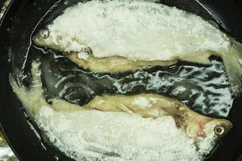 Fish in batter with a crispy crust is fried in breadcrumbs flour and cooked i Stock Photos