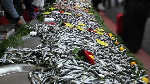 Fish bazaar in Istanbul, Turkey Vídeos de archivo 100988974