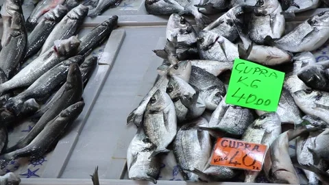 Fish bazaar in Turkey Stock Footage