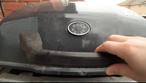 Fish on BBQ Video stock 5415639