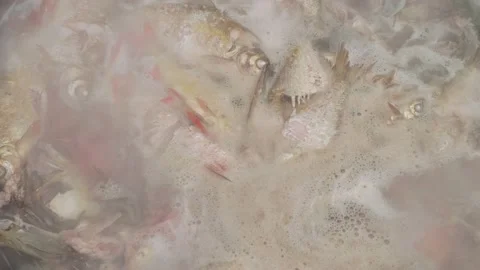 Fish is being boiled in black pot on fire. Up view of pot and smoke of fire. Stock Footage 144454271