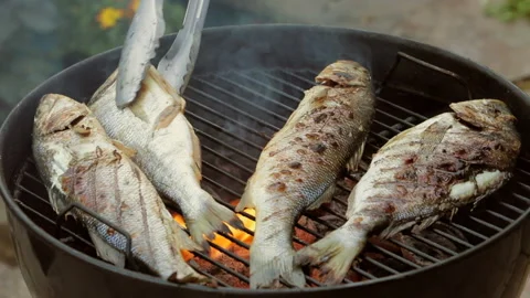 Fish is being cooked on a bbq Stock Footage 157129353