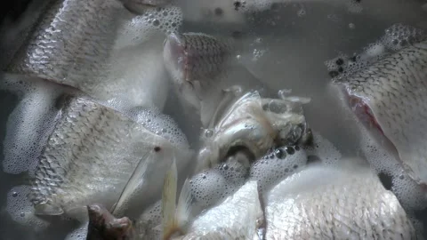 Fish is being cooked in a frying pan. healthy food concept Stock Footage 162013786