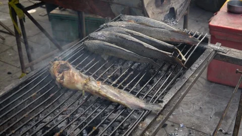 Fish being cooked on outdoor grill Stock Footage 123261855