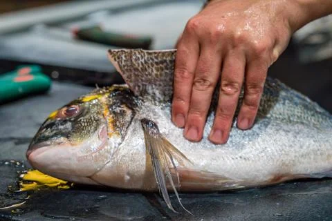 Fish being cut open 스톡 사진