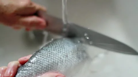 A fish being descaled under running water Stock Footage 24673419