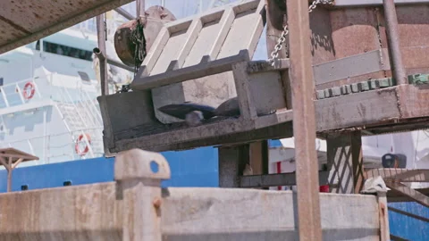 Fish being offloaded into a container. HD50p Stock Footage 244394692