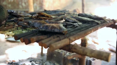 Fish being prepared at an indigenous tribe in the Amazon Stock Footage 54696270