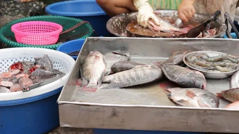 Fish being prepared at a local fresh market in Thailand Stock Footage 88168191