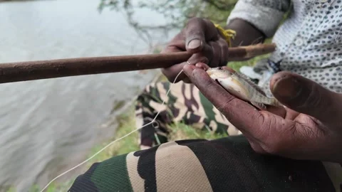 Fish Being Pulled out from the Fishing Net Video stock 278799834
