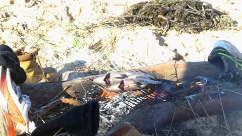 Fish being roasted on a grill over a fire on the beach in a survival Stock Footage 244289822