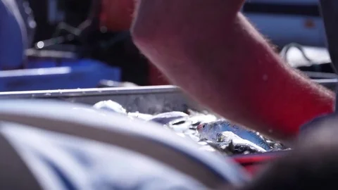 Fish being unloaded from boat by fishermen in harbor slow motion Stock Footage