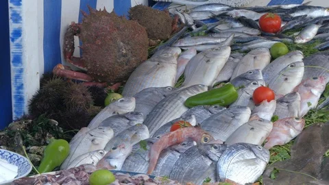Fish bench in Marrakech market, Morocco, africa in 4K Stock Footage 93852625