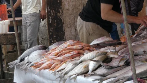 Fish bench in Marrakech market, Morocco, africa in 4K Stock Footage 93853094