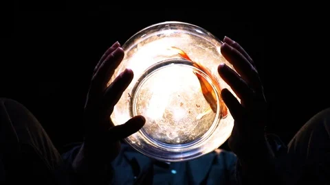 Fish between hands Video stock 104483495