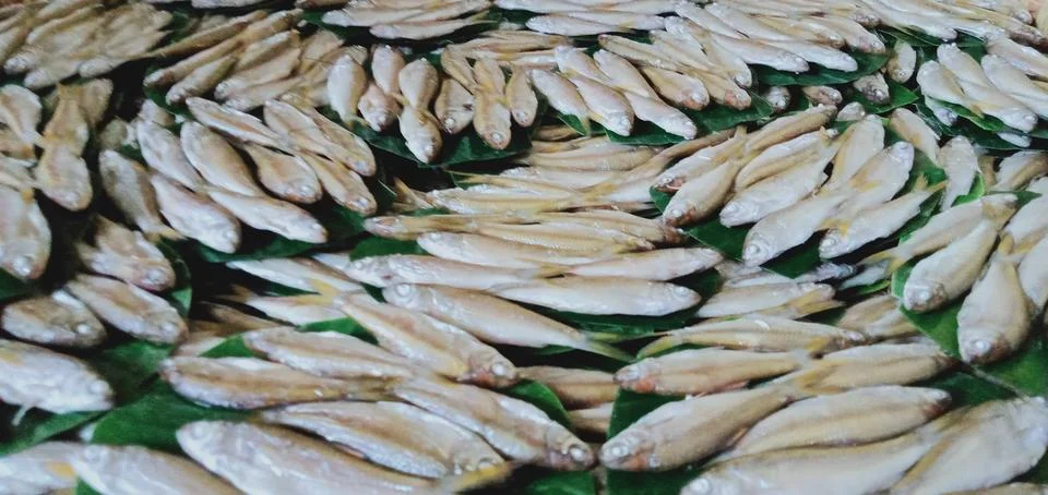 Fish bilis Foto stock