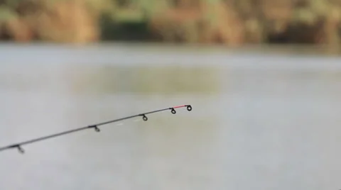 Fish bite. 動画素材 29620598