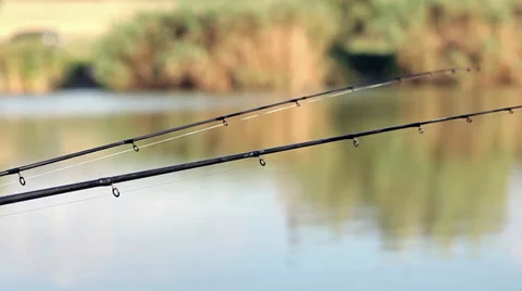 Fish bite. 動画素材 29620711