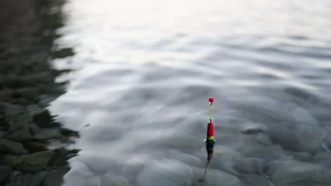 Fish bites and pulls fishing float underwater during a moment of action Stock Footage 341622446