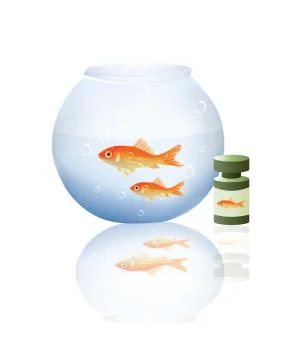 Fish with boal Stock Illustration