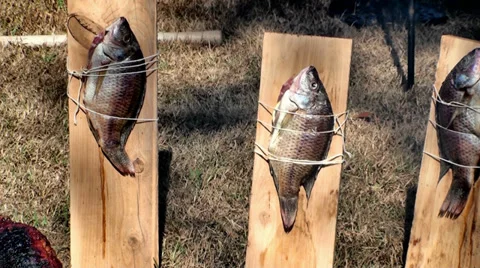 Fish on a board being cooked Stock Footage 32845602