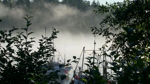 Fish Boat in Mist 1 Video stock 143933441
