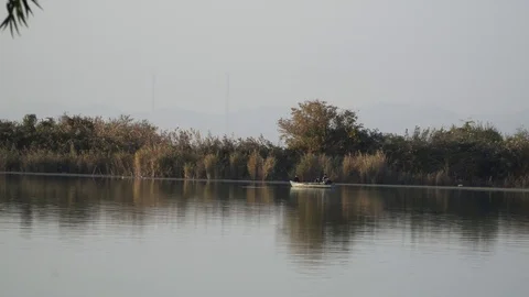 Fish boat on river Stock Footage 82479804