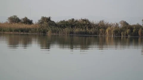 Fish boat on river Video stock 82479912