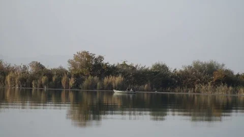 Fish boat on river Video stock 82479932