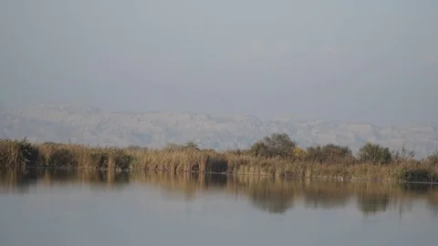 Fish boat on river Video stock 82480030