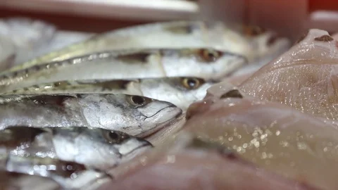 Fish in Bocuse Video stock 129835037