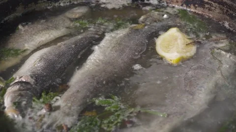 Fish boiled in the frying pan closeup Stock Footage 74085092