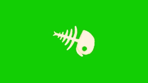 Fish Bone Animation Green Screen Overlay Stock Footage 340607659