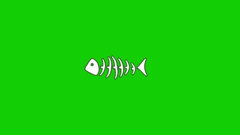 Fish Bone Animation Green Screen Overlay Stock Footage 340607660