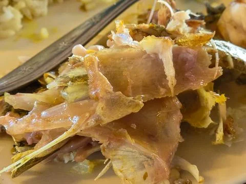 Fish bones, leftovers from soup Stock Photos