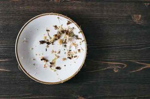Fish bones on a single white plate. Top down flat photo with copy space Stock Photos