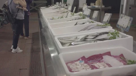 Fish in boxes Stock Footage 77155096