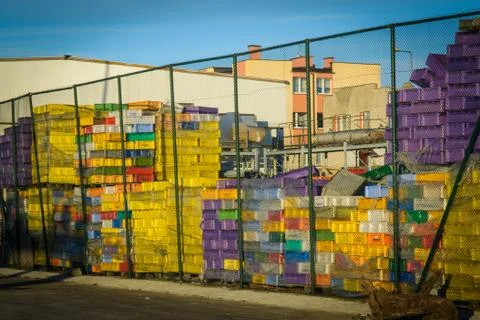 Fish boxes 写真素材